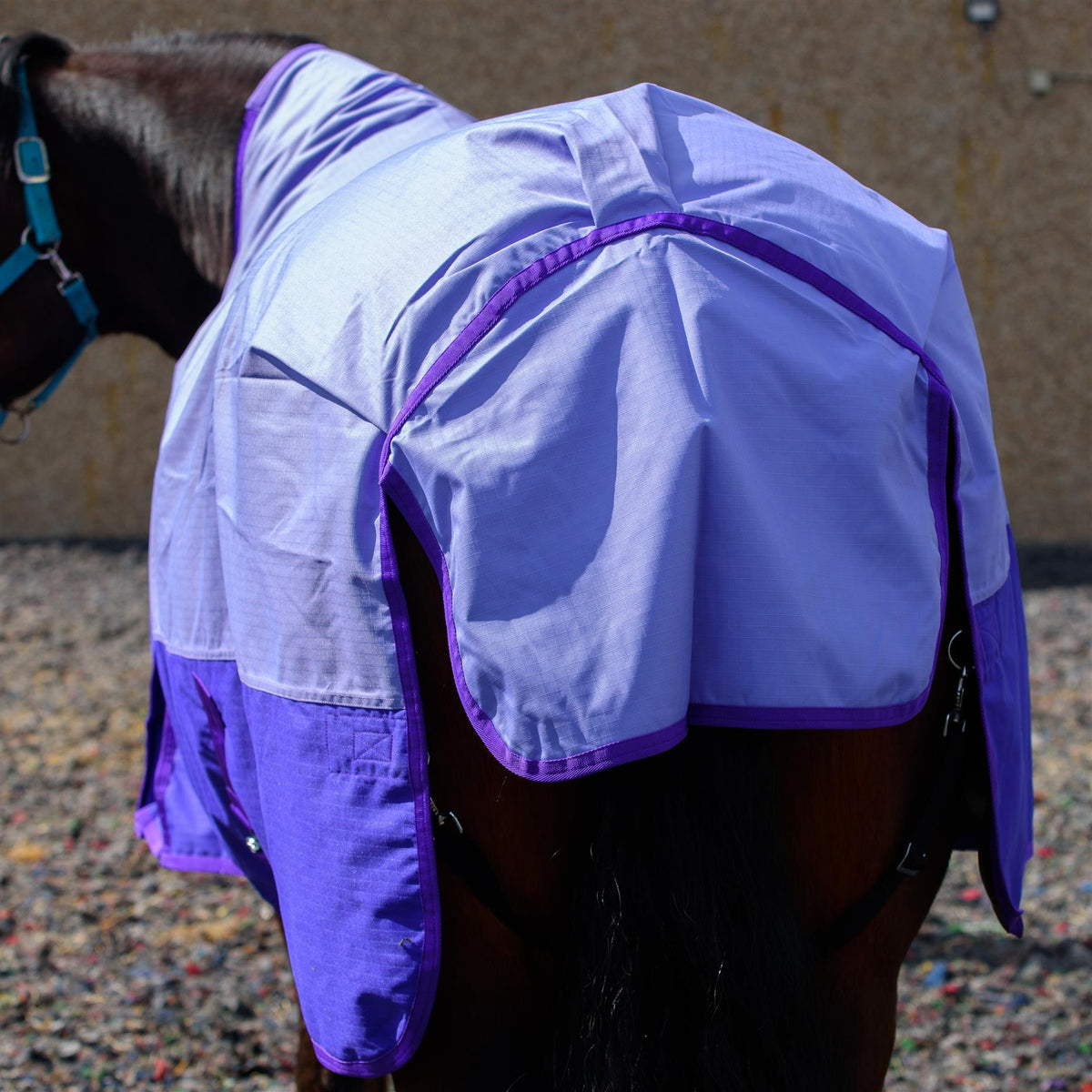 600D Lightweight Waterproof Horse Turnout Rug 0g No Fill Half Neck Lavender/Purple