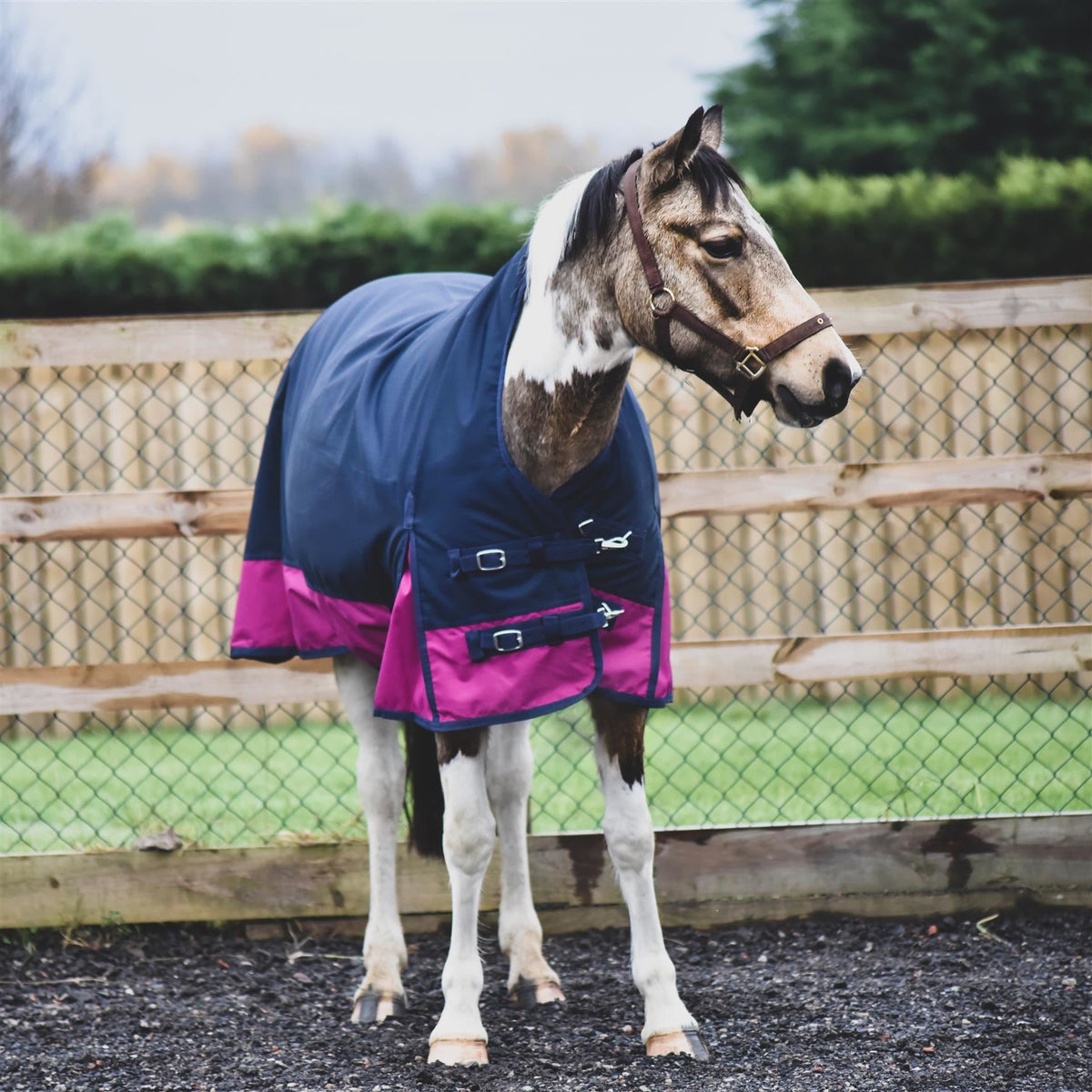 1200D Mediumweight Waterproof Horse Turnout Rug 200g Fill Half Neck Navy/Raspberry
