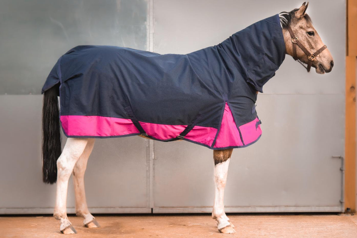 600D Mediumweight Waterproof Horse Turnout Rug 50g Fill Combo Full Neck Navy/Raspberry