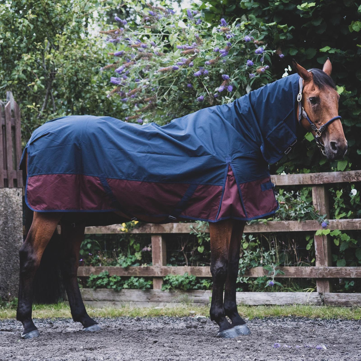 1200D Mediumweight Waterproof Horse Turnout Rug 50g Fill Combo Full Neck Navy/Burgundy