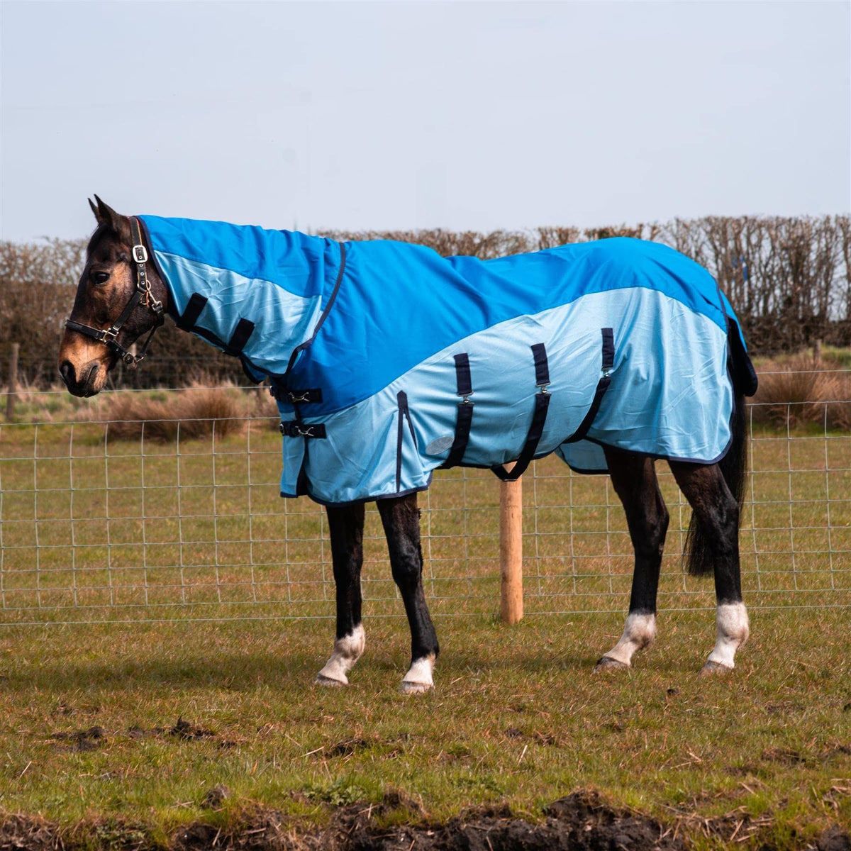 600D 2 in 1 Lightweight Waterproof Fly Turnout Mesh Horse Rug Fixed Neck Blue/Light Blue