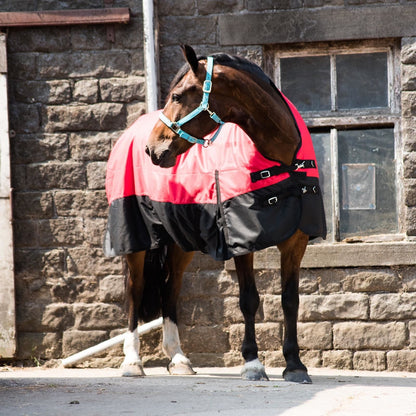 1200D Heavyweight Waterproof Horse Turnout Rug 300g Fill Half Neck Blue/Black