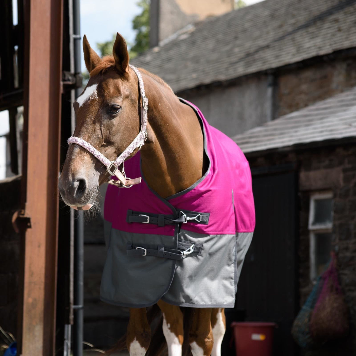 1200D Mediumweight Waterproof Horse Turnout Rug 50g Fill Standard Neck Raspberry/Grey