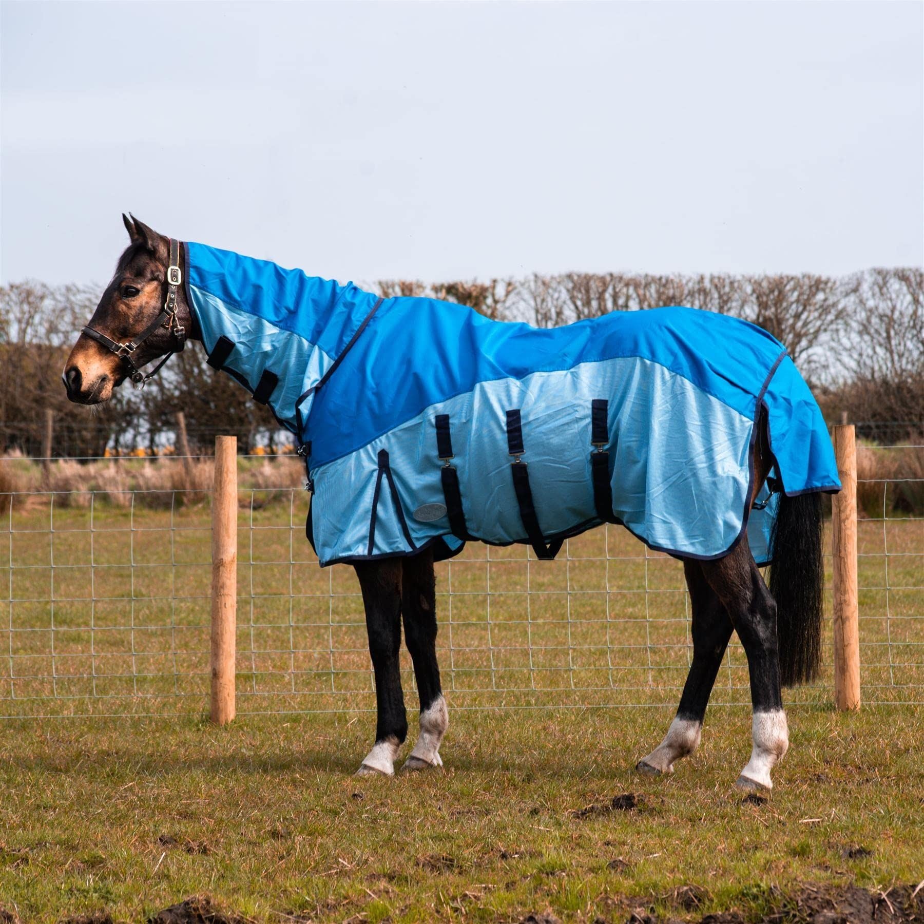 600D 2 in 1 Lightweight Waterproof Fly Turnout Mesh Horse Rug Fixed Neck Blue/Light Blue