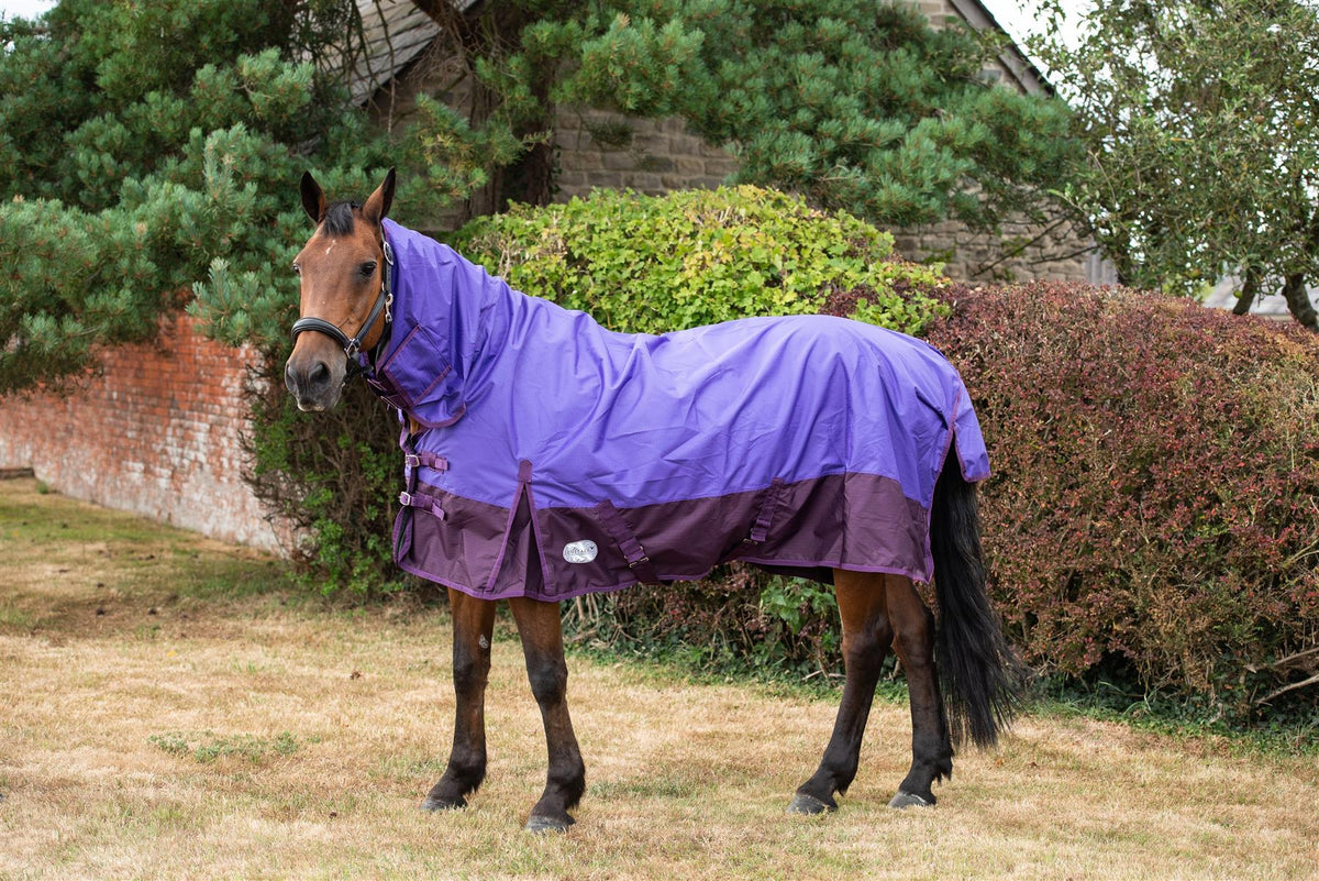 600D Mediumweight Waterproof Horse Turnout Rug 100g Fill Combo Full Neck Purple/Plum