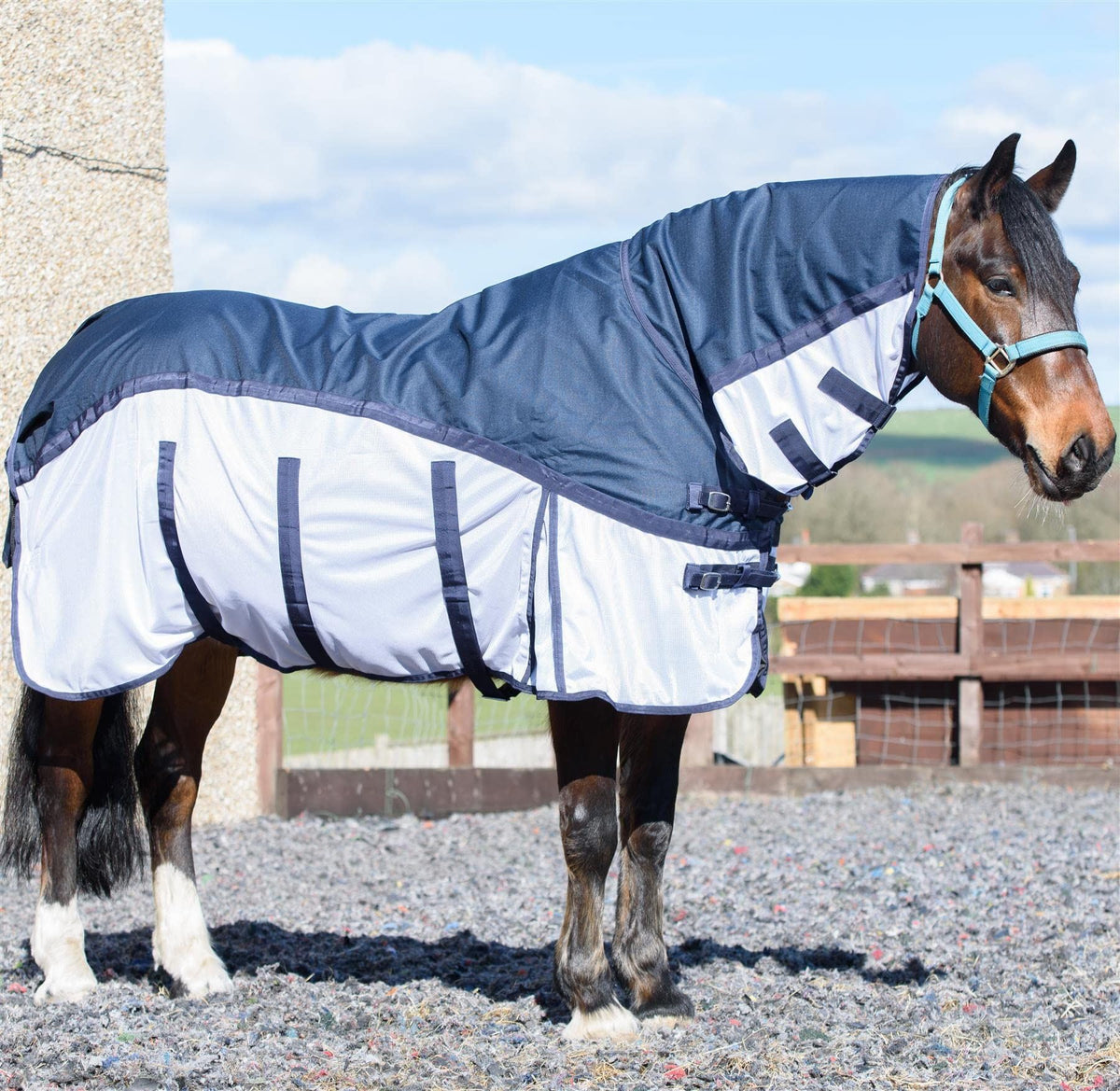600D 2 in 1 Lightweight Waterproof Fly Turnout Mesh Horse Rug Fixed Neck Blue/White