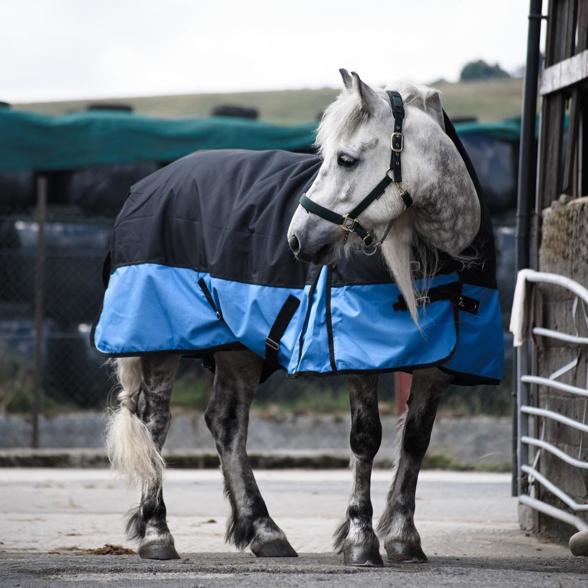 1200D Mediumweight Waterproof Horse Turnout Rug 100g Fill Half Neck Black/Baby Blue