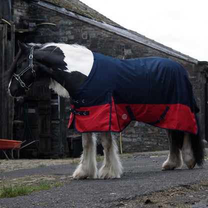 1200D Mediumweight Waterproof Horse Turnout Rug 50g Fill Standard Neck Navy/Red