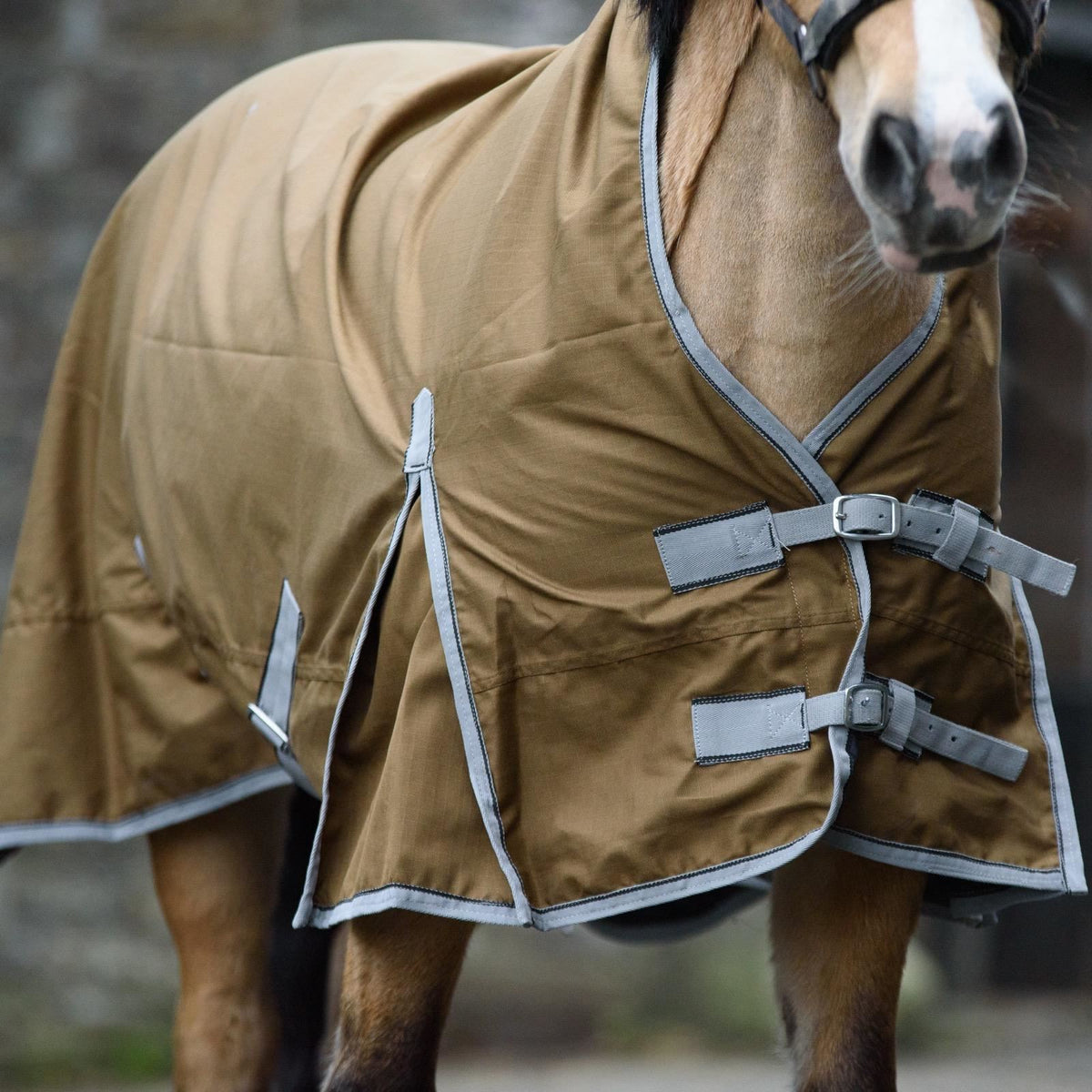 600D Mediumweight Waterproof Horse Turnout Rug 50g Fill Half Neck Light Brown