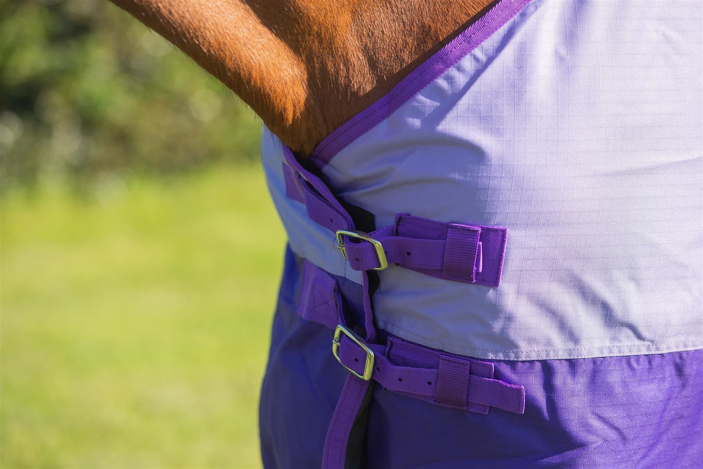 600D Mediumweight Waterproof Horse Turnout Rug 50g Fill Regular Neck Lavender/Purple