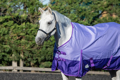 600D Mediumweight Waterproof Horse Turnout Rug 50g Fill Regular Neck Lavender/Purple