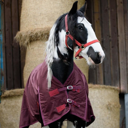600D Lightweight Waterproof Horse Turnout Rug 0g No Fill Half Neck Dark Burgundy