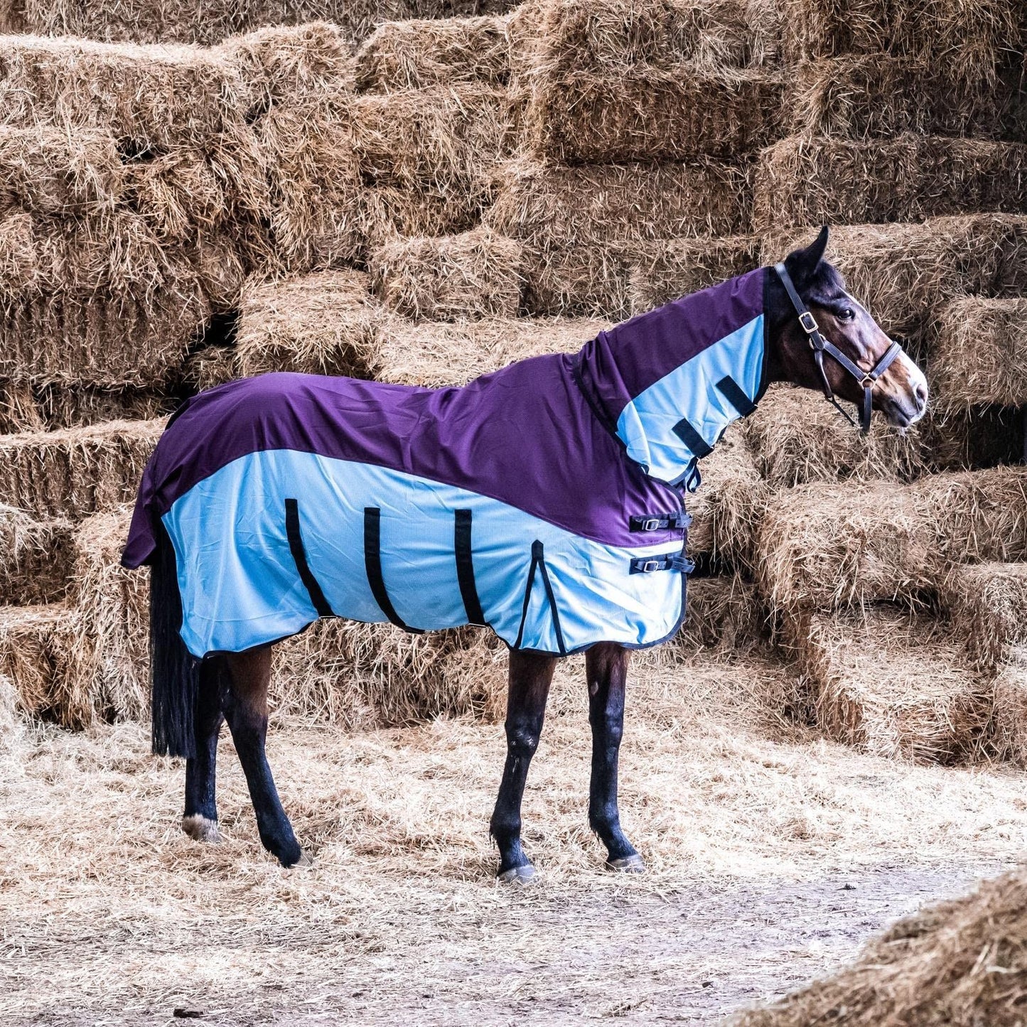 600D 2 in 1 Lightweight Waterproof Fly Turnout Mesh Horse Rug Fixed Neck Burgundy/Blue