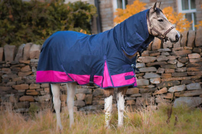 1200D Mediumweight Waterproof Horse Turnout Rug 50g Fill Combo Full Neck Navy/Raspberry
