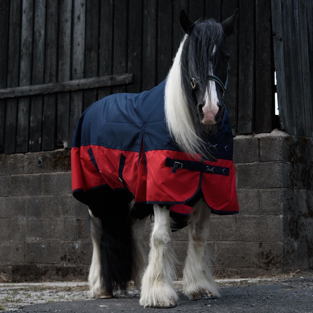 1200D Mediumweight Waterproof Horse Turnout Rug 50g Fill Standard Neck Navy/Red