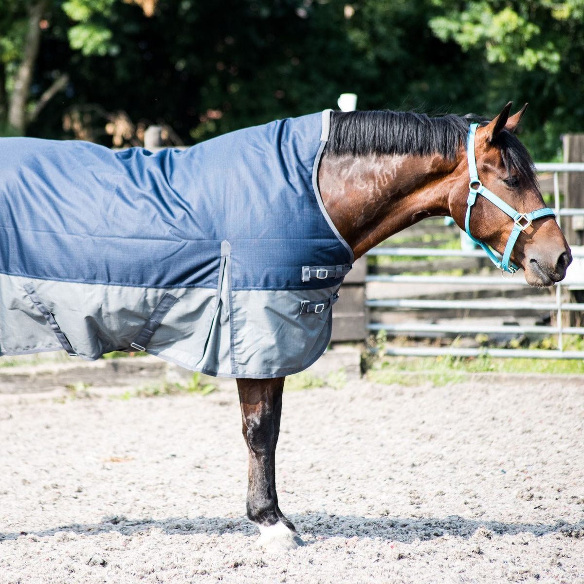 600D Lightweight Waterproof Horse Turnout Rug 0g No Fill Half Neck Navy/Grey