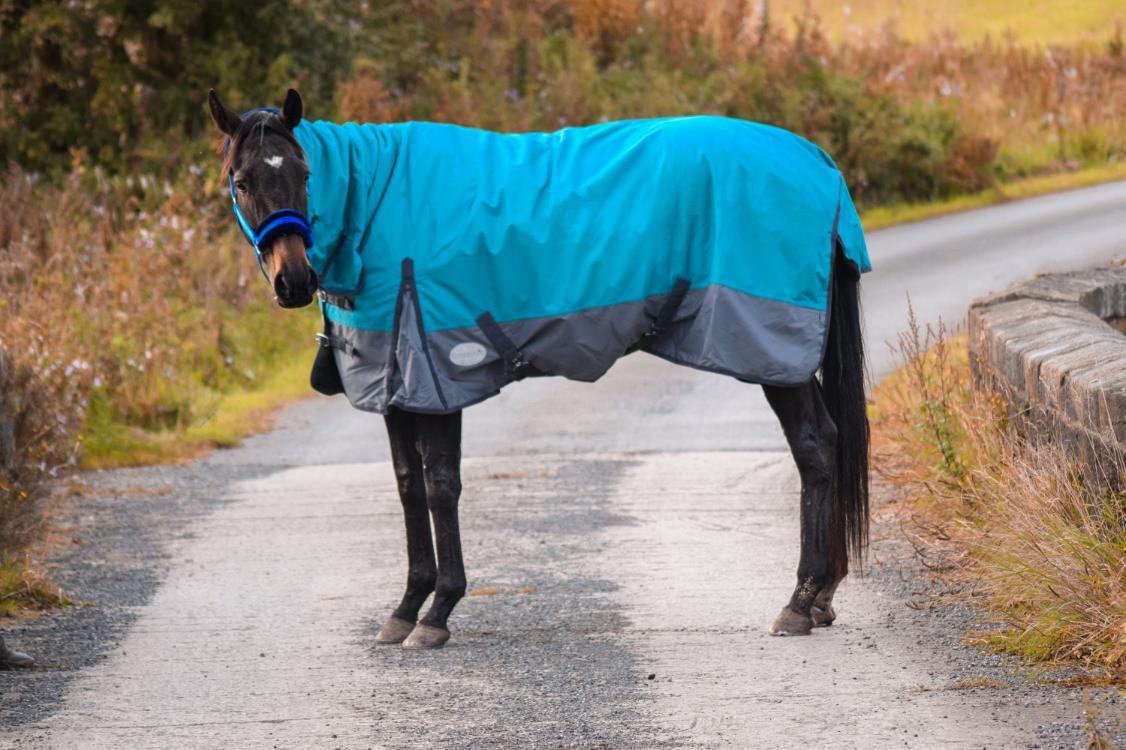 600D Mediumweight Waterproof Horse Turnout Rug 100g Fill Combo Full Neck Aqua/Dark Grey