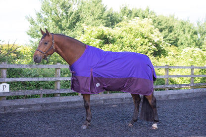 600D Mediumweight Waterproof Horse Turnout Rug 100g Fill Standard Neck Purple/Plum