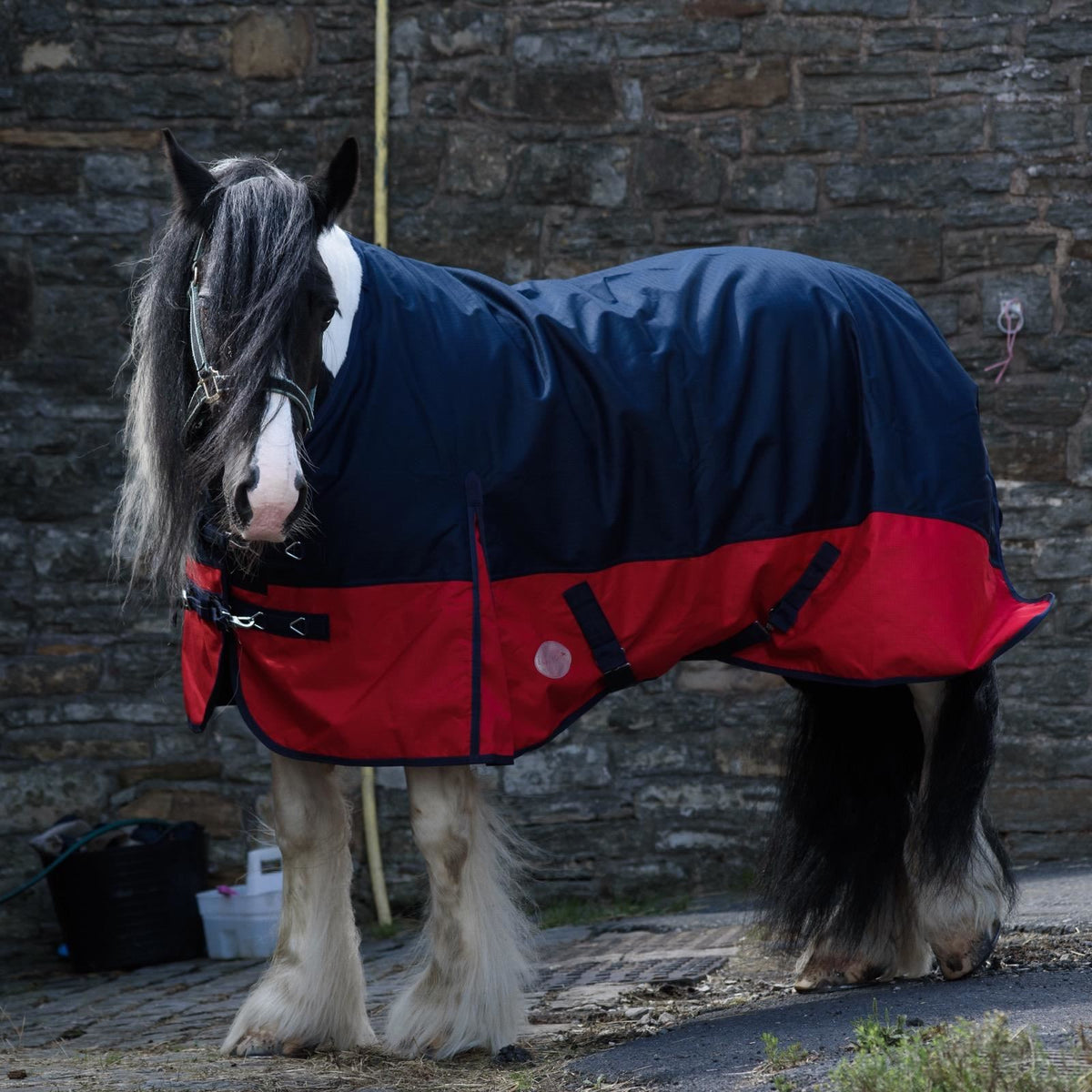 1200D Mediumweight Waterproof Horse Turnout Rug 50g Fill Standard Neck Navy/Red