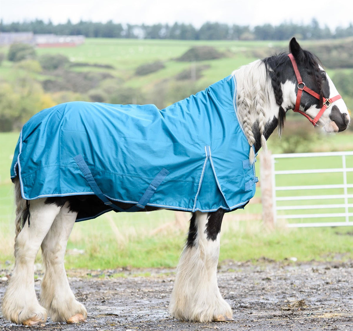 600D Mediumweight Waterproof Horse Turnout Rug 50g Fill Half Neck Turquoise