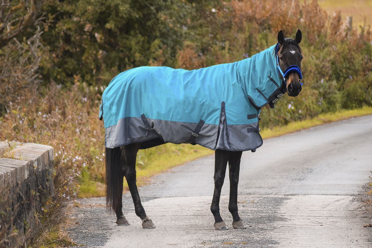 600D Mediumweight Waterproof Horse Turnout Rug 50g Fill Combo Full Neck Aqua/Dark Grey