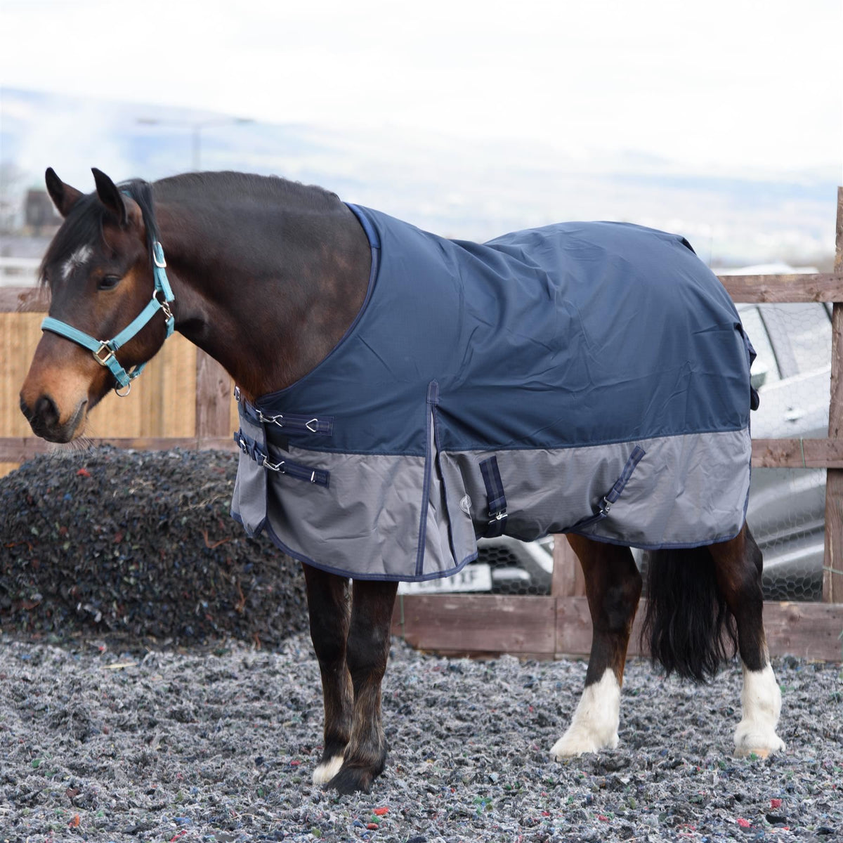 600D Mediumweight Waterproof Horse Turnout Rug 100g Fill Standard Neck Navy/Grey