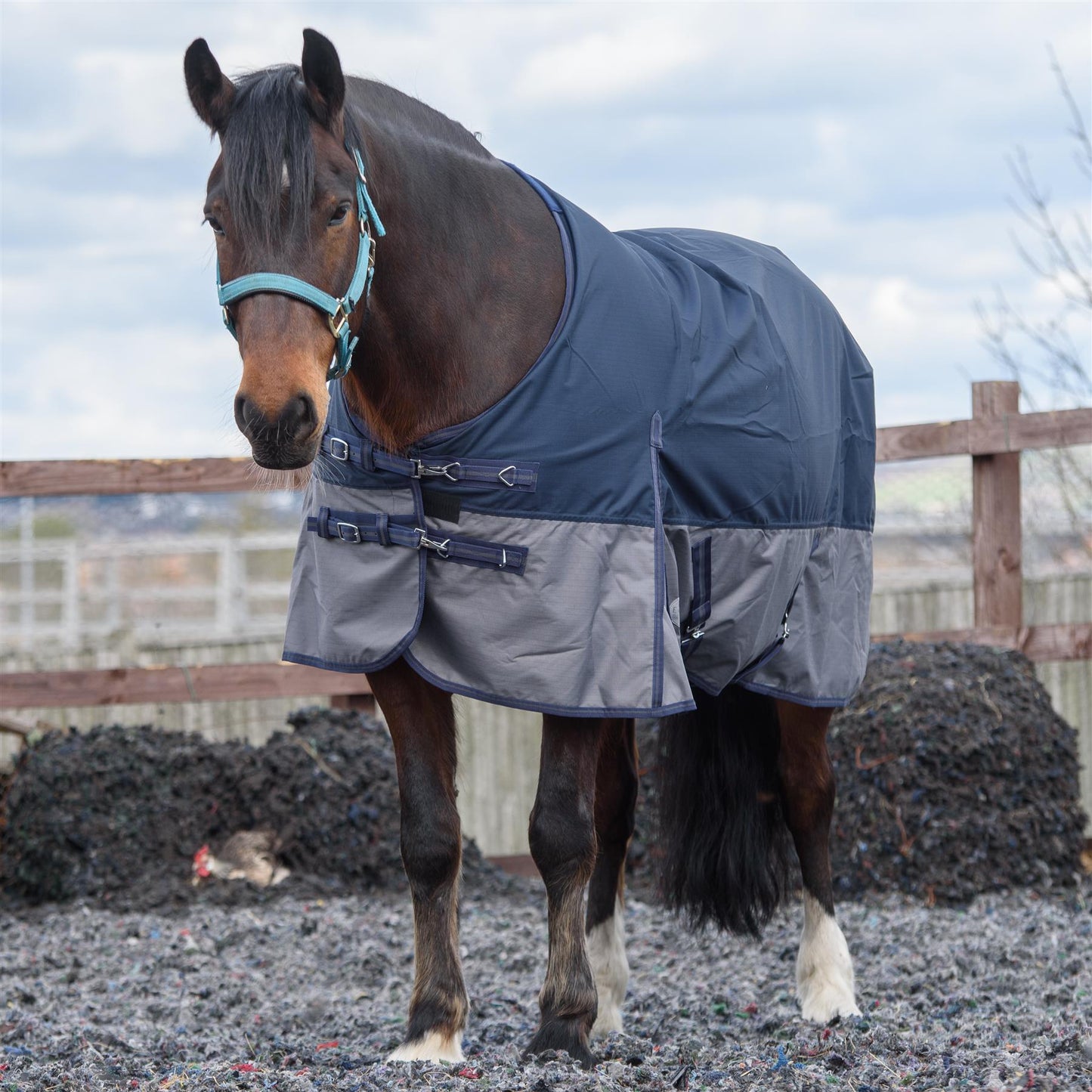 600D Lightweight Waterproof Horse Turnout Rug 0g No Fill Regular Neck Navy/Grey