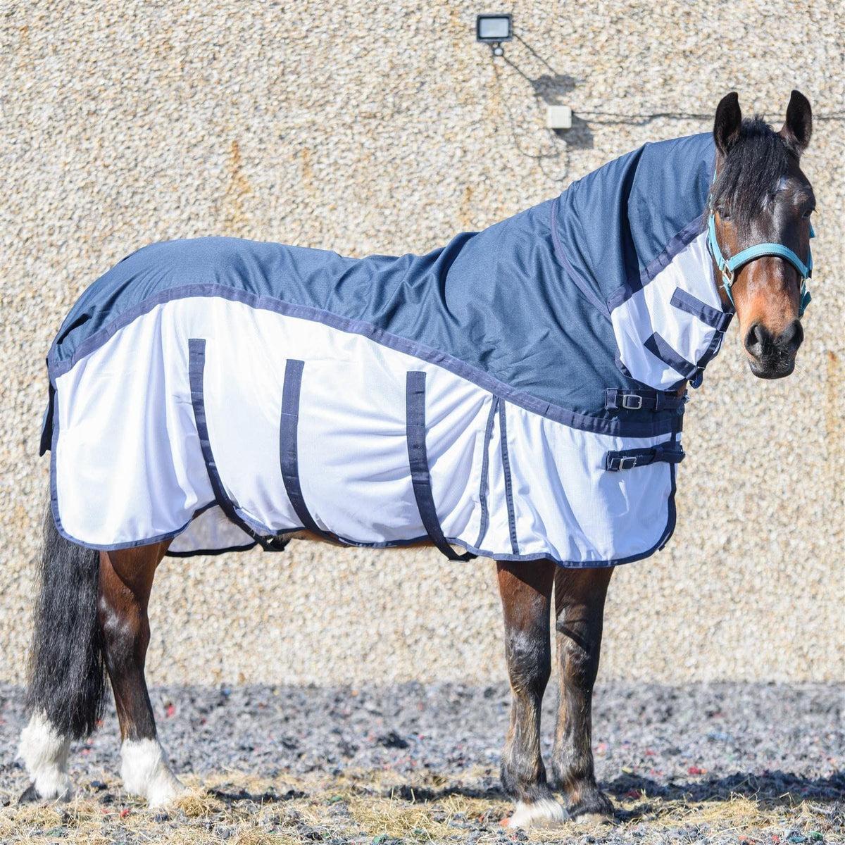 600D 2 in 1 Lightweight Waterproof Fly Turnout Mesh Horse Rug Fixed Neck Blue/White