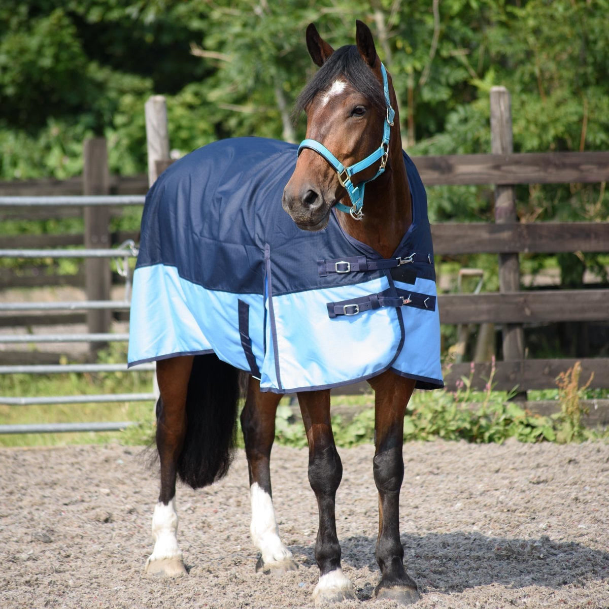 1200D Lightweight Waterproof Horse Turnout Rug 0g No Fill Half Neck Navy/Baby Blue
