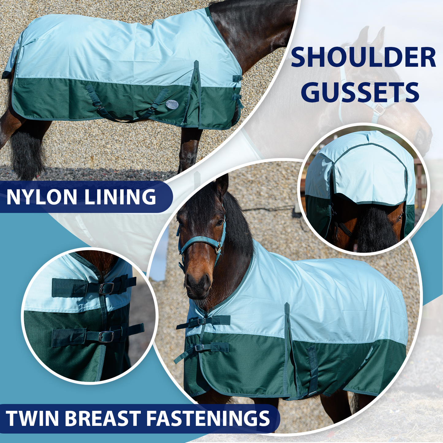 600D Lightweight Waterproof Horse Turnout Rug 0g No Fill Regular Neck Pista Aqua/Bottle Green