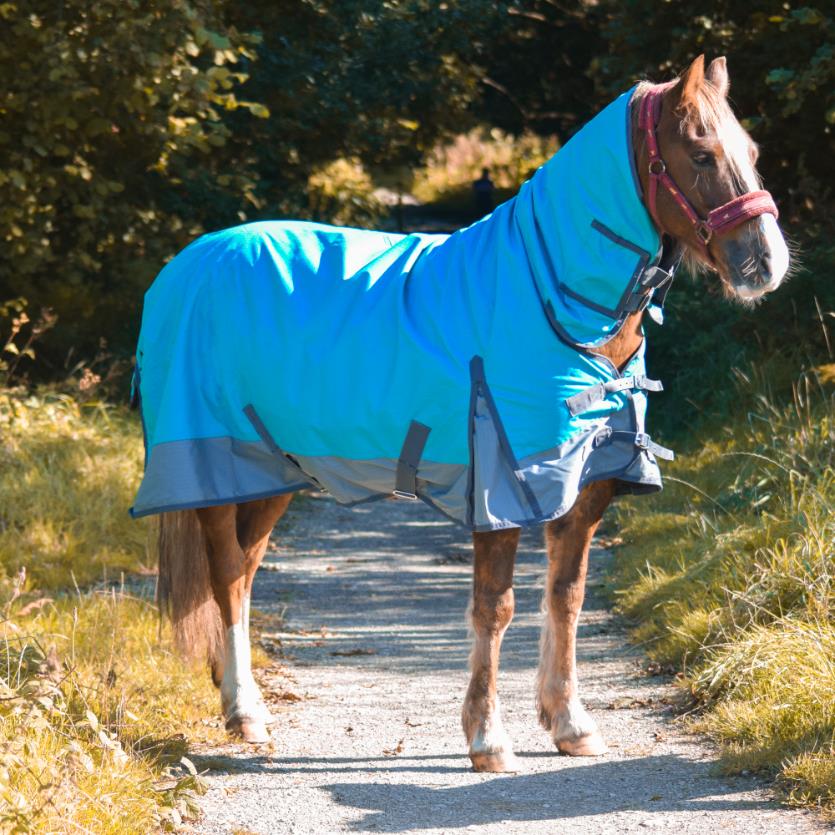 600D Mediumweight Waterproof Horse Turnout Rug 50g Fill Combo Full Neck Aqua/Dark Grey