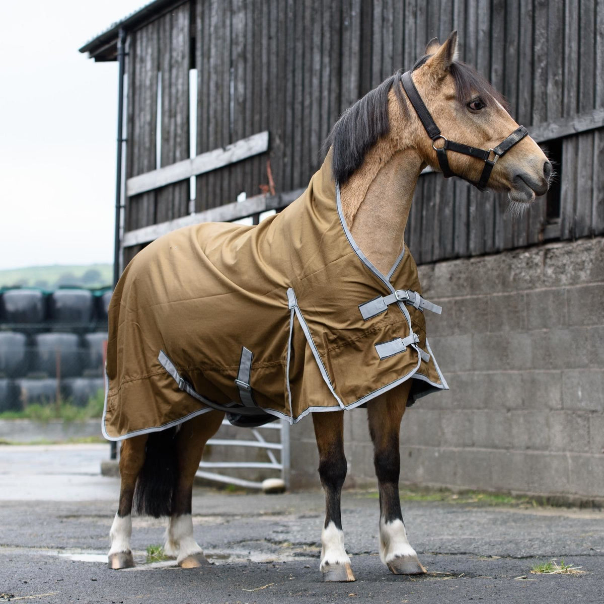 600D Mediumweight Waterproof Horse Turnout Rug 50g Fill Half Neck Light Brown