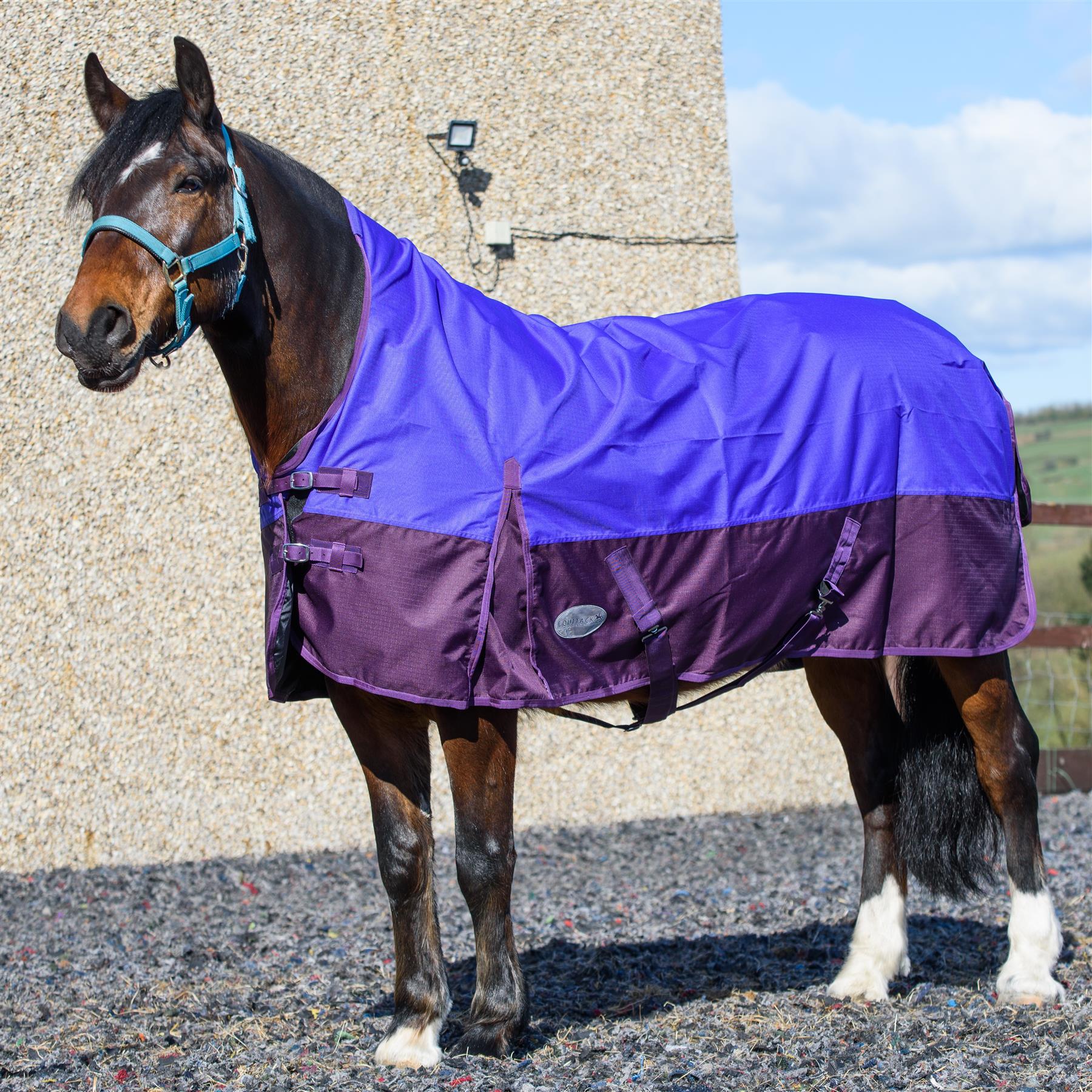 600D Lightweight Waterproof Horse Turnout Rug 0g No Fill Half Neck Purple/Plum