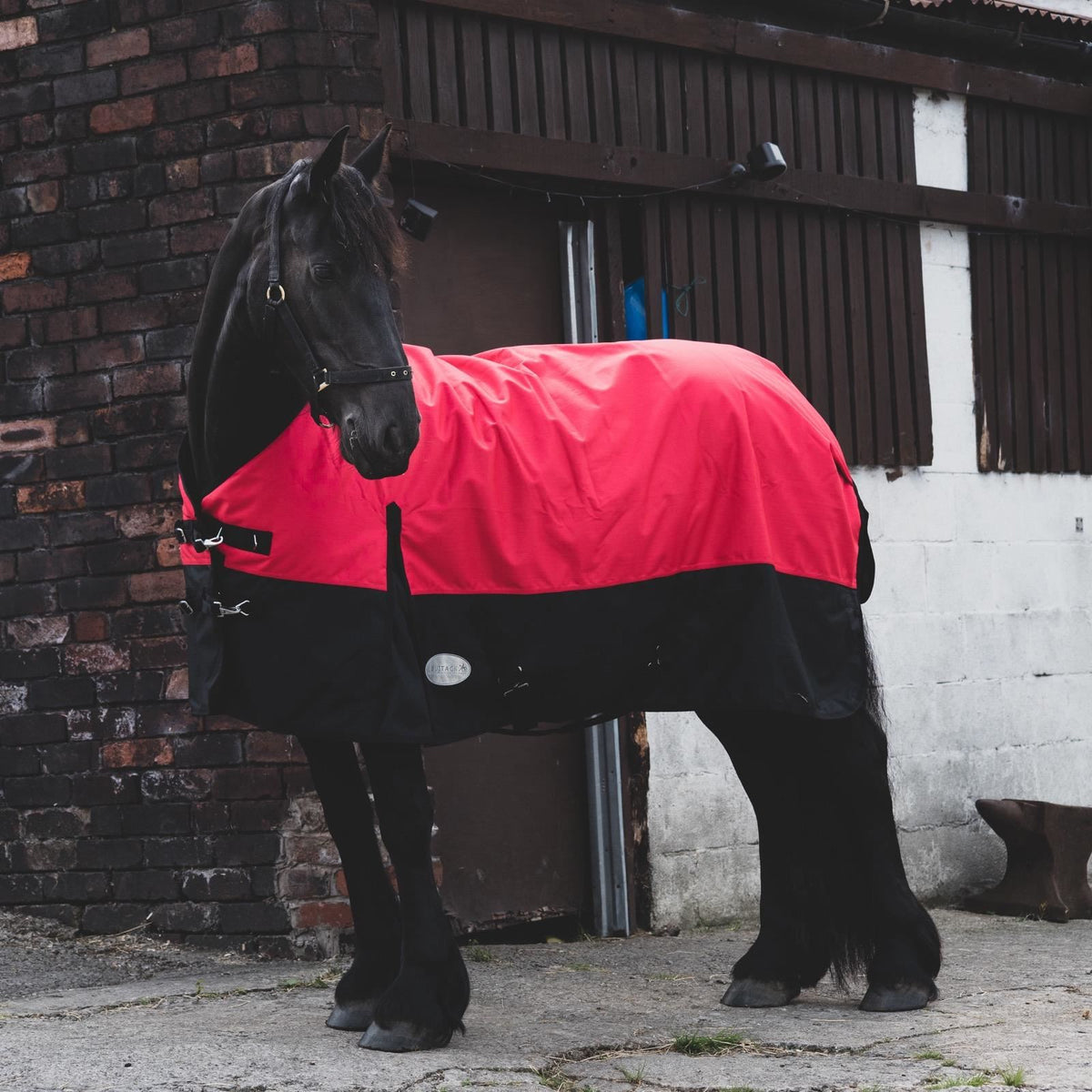 1200D Mediumweight Waterproof Horse Turnout Rug 100g Fill Standard Neck Red/Black