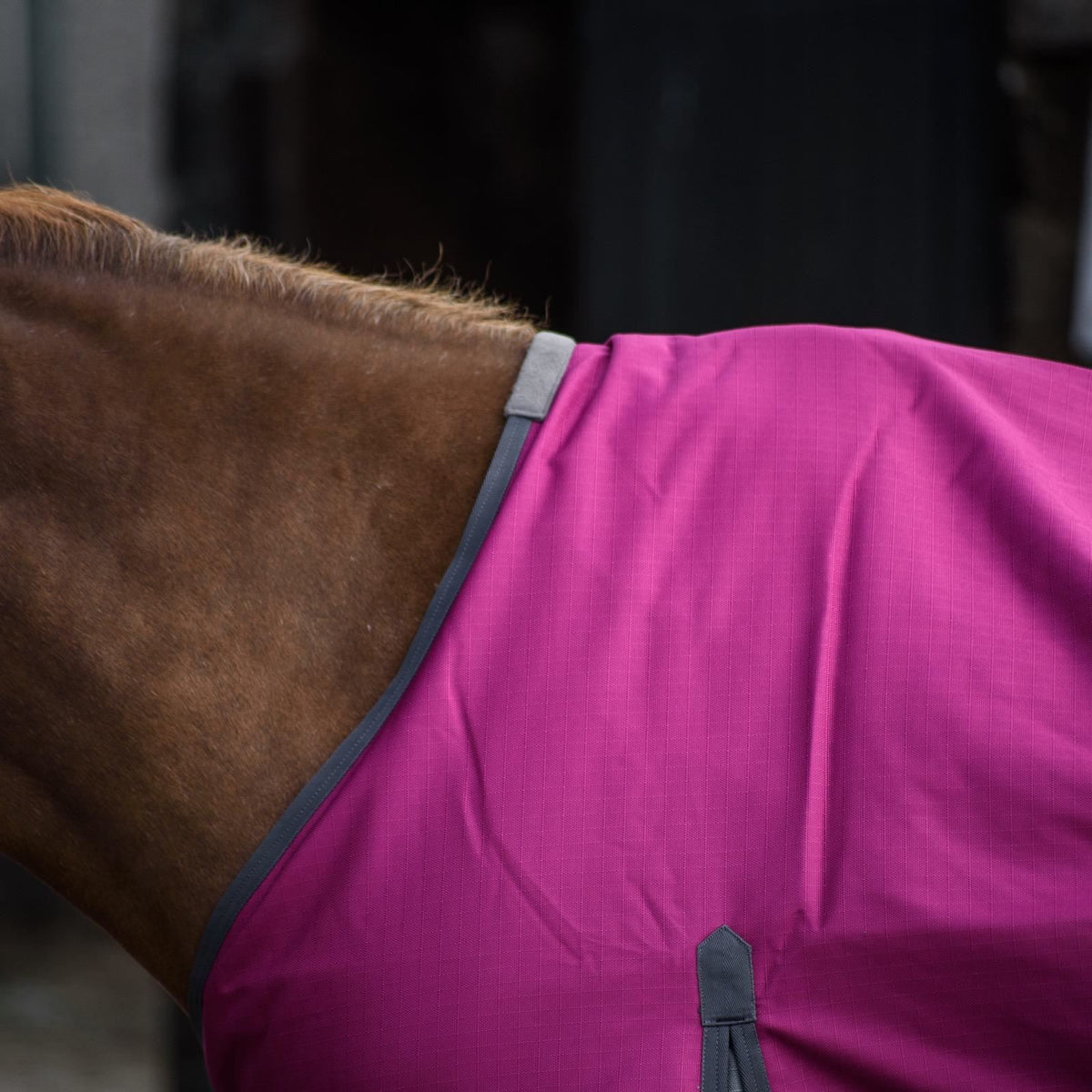 1200D Mediumweight Waterproof Horse Turnout Rug 50g Fill Standard Neck Raspberry/Grey