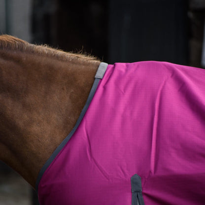 1200D Mediumweight Waterproof Horse Turnout Rug 50g Fill Standard Neck Raspberry/Grey