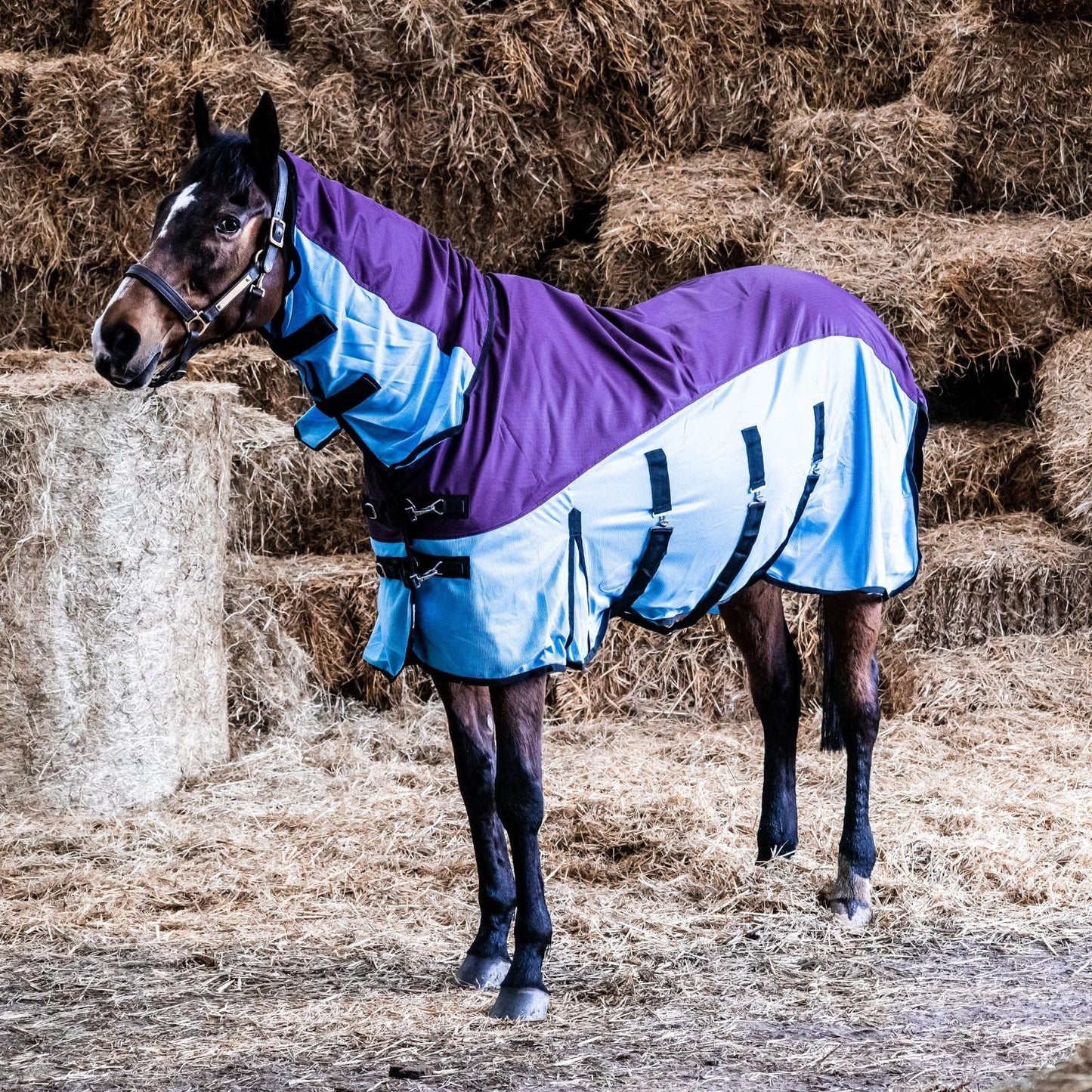 600D 2 in 1 Lightweight Waterproof Fly Turnout Mesh Horse Rug Fixed Neck Burgundy/Blue