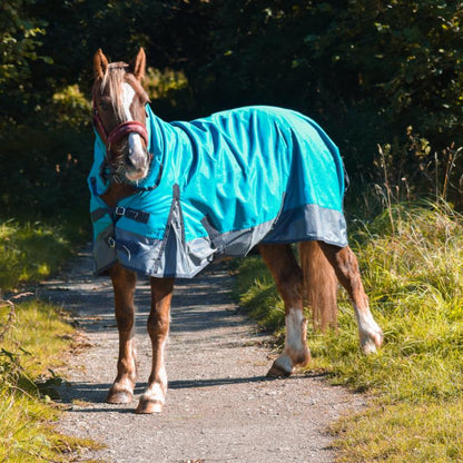 600D Lightweight Turnout Horse Rug Water Resistant Combo Neck Aqua/Grey 5'3-6'9