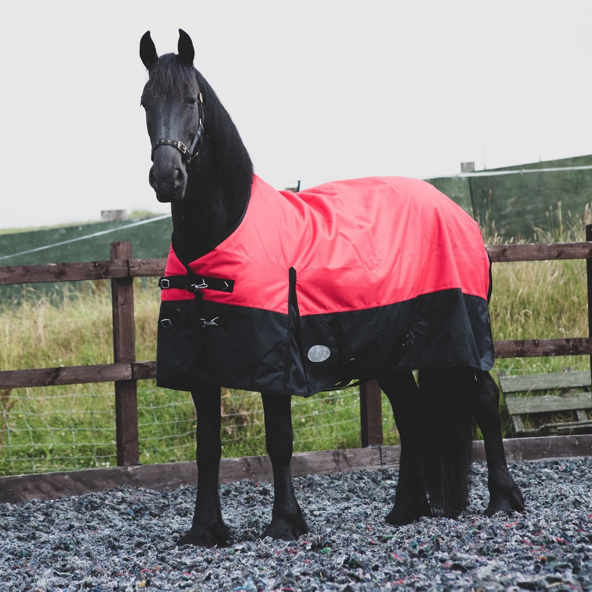 1200D Mediumweight Waterproof Horse Turnout Rug 100g Fill Standard Neck Red/Black