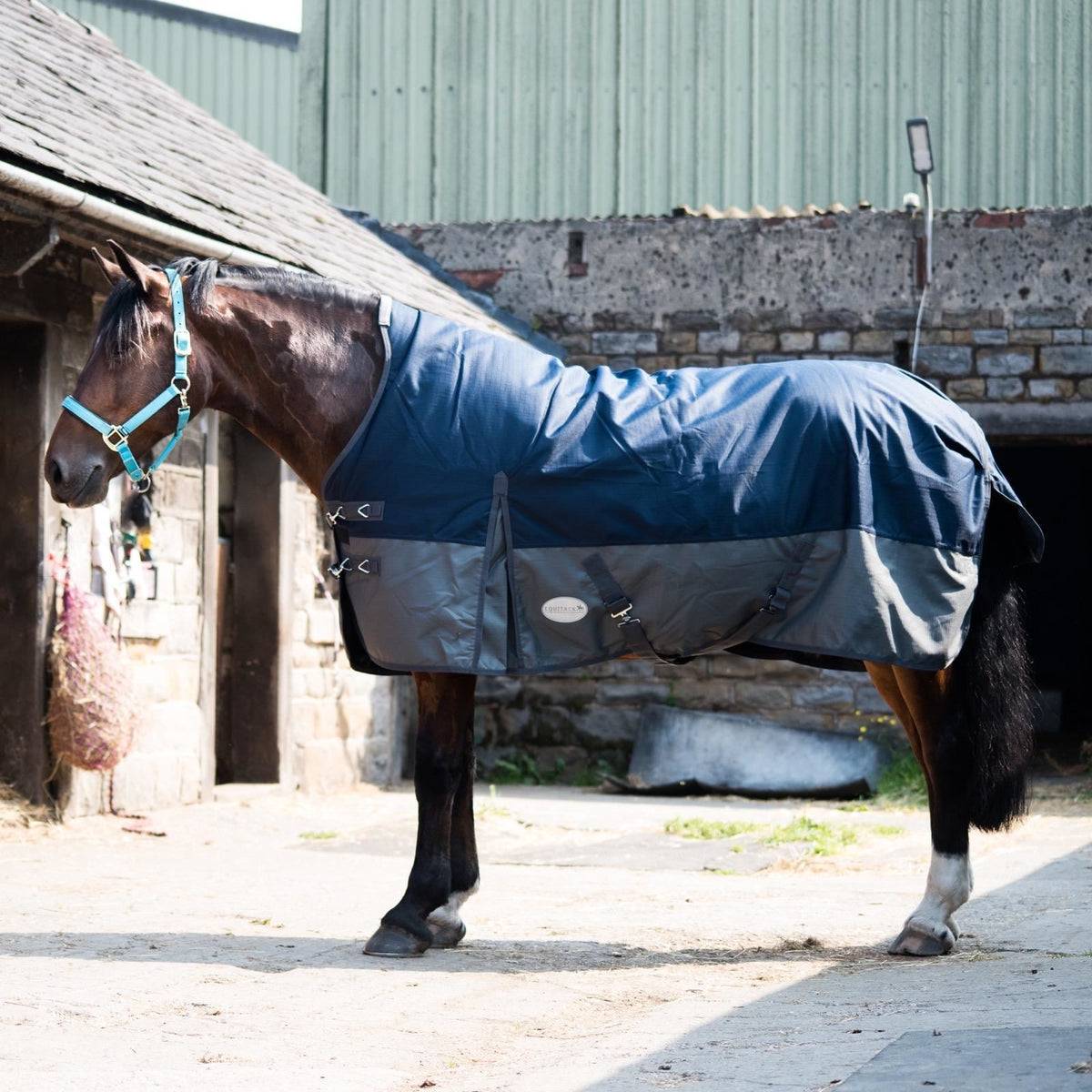600D Lightweight Waterproof Horse Turnout Rug 0g No Fill Half Neck Fleece Lining Navy/Grey