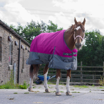 1200D Mediumweight Waterproof Horse Turnout Rug 50g Fill Standard Neck Raspberry/Grey