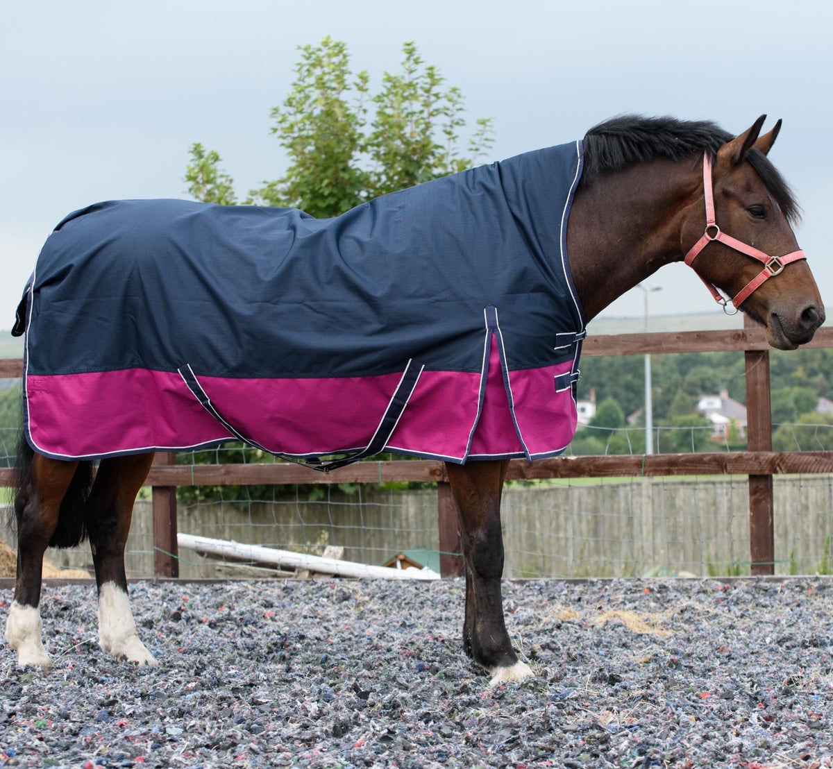1200D Mediumweight Waterproof Horse Turnout Rug 100g Fill Half Neck Navy/Raspberry