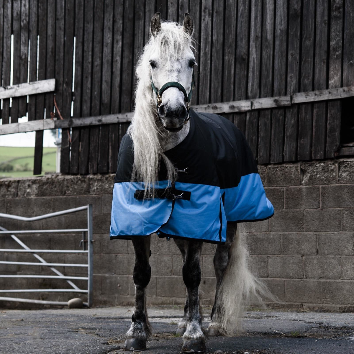 1200D Mediumweight Waterproof Horse Turnout Rug 100g Fill Standard Neck Black/Baby Blue