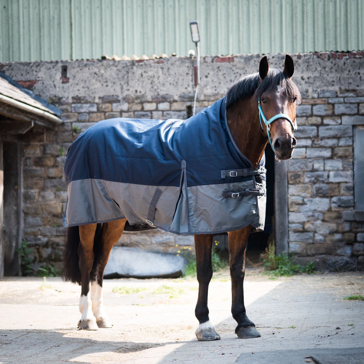 600D Lightweight Waterproof Horse Turnout Rug 0g No Fill Half Neck Fleece Lining Navy/Grey