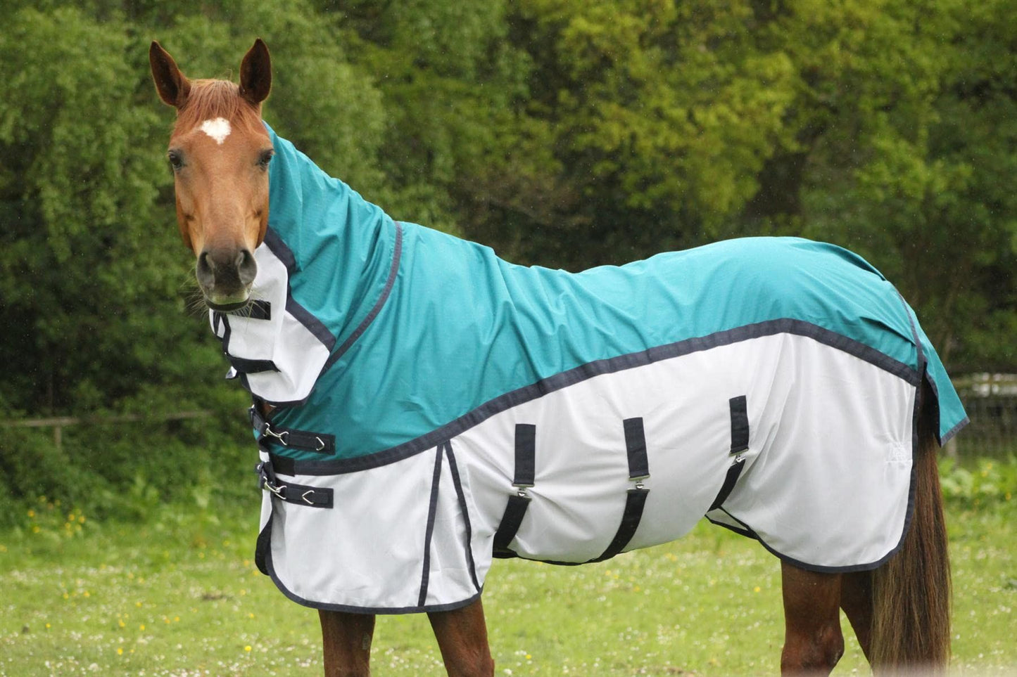 600D 2 in 1 Lightweight Waterproof Fly Turnout Mesh Horse Rug Fixed Neck Petrol/White