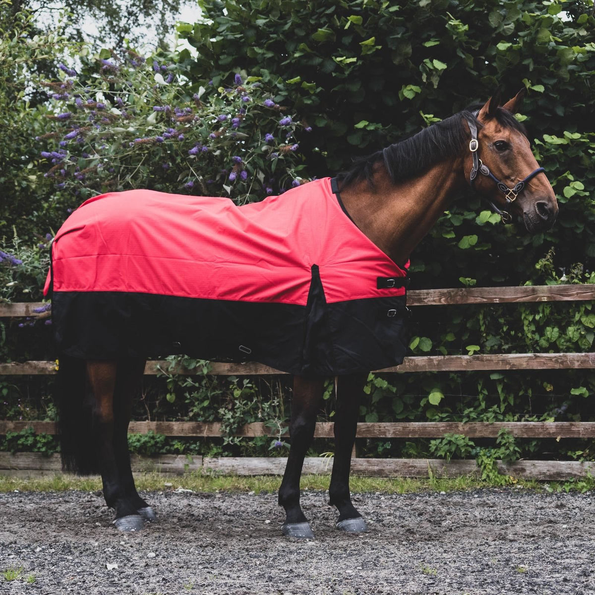 1200D Lightweight Waterproof Horse Turnout Rug 0g No Fill Standard Neck Red/Black