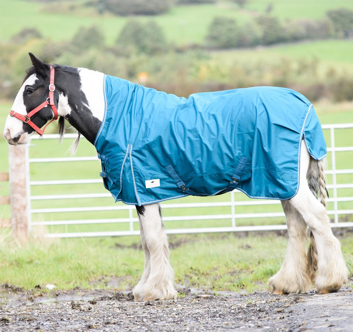 600D Lightweight Waterproof Horse Turnout Rug 0g No Fill Half Neck Turquoise