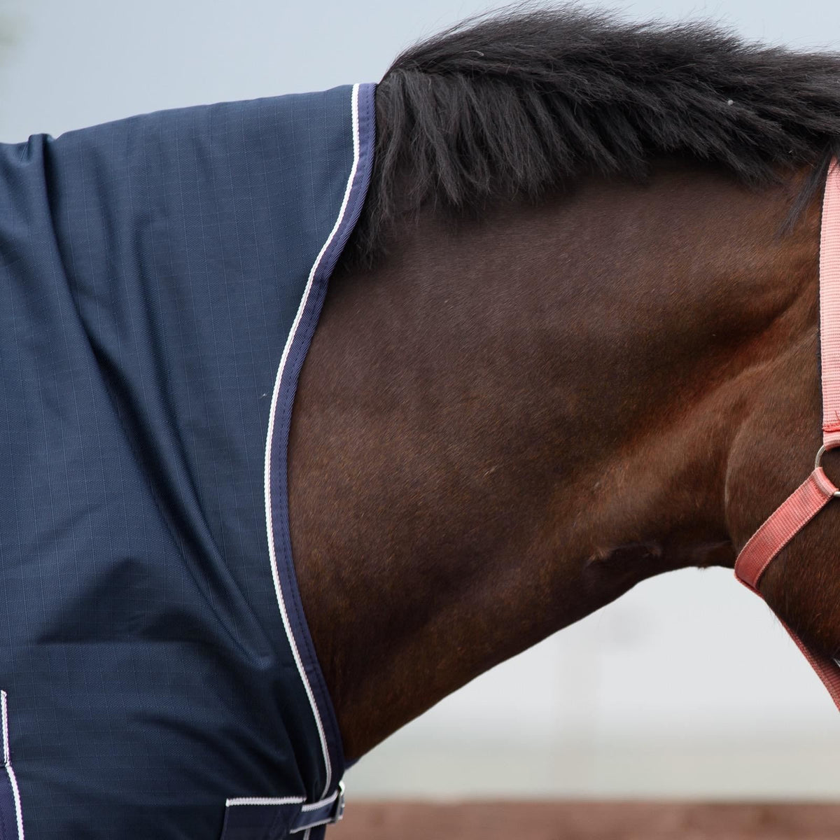 1200D Mediumweight Waterproof Horse Turnout Rug 100g Fill Half Neck Navy/Raspberry