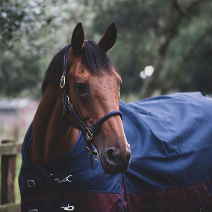 1200D Lightweight Waterproof Horse Turnout Rug 0g No Fill Standard Neck Navy/Burgundy