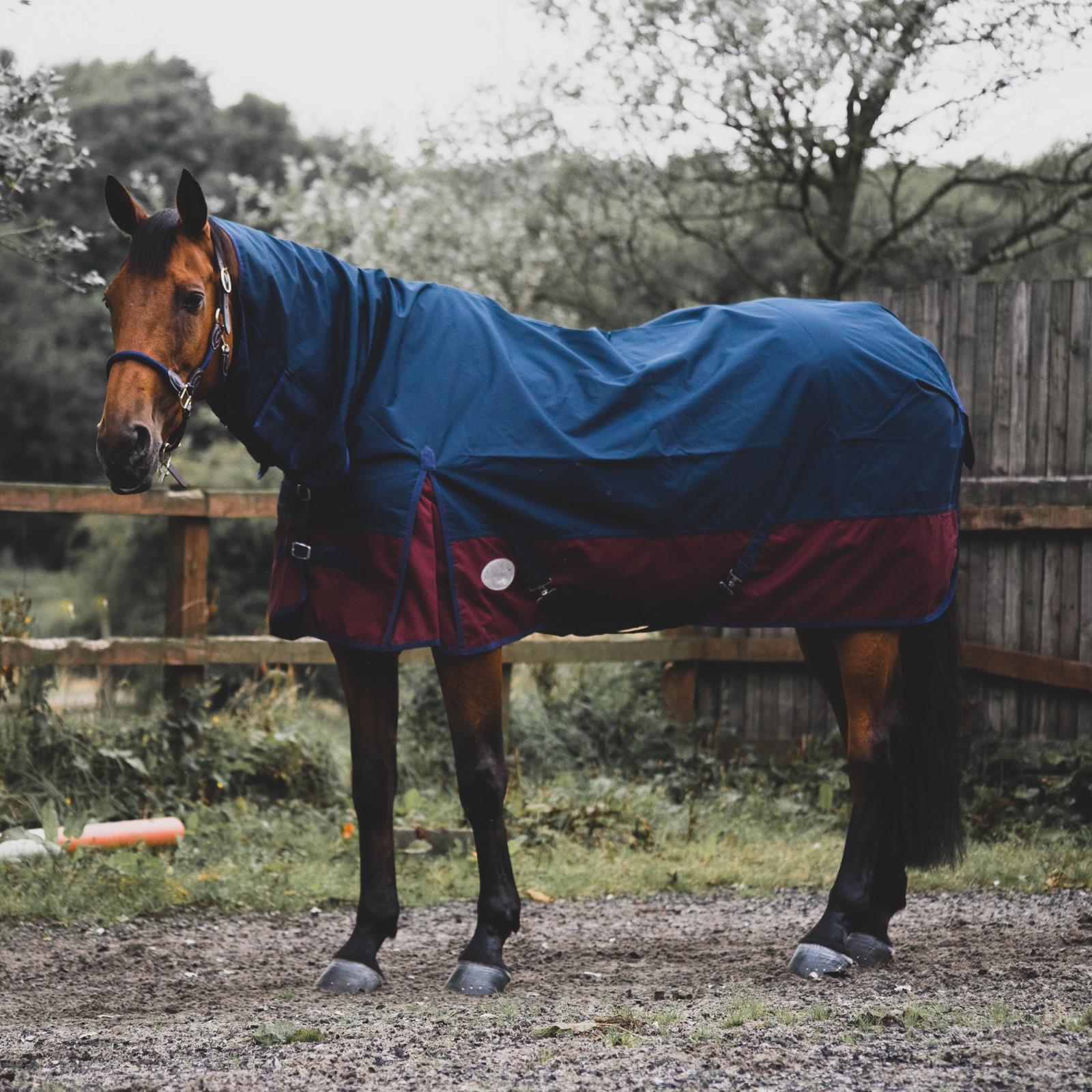 1200D Mediumweight Waterproof Horse Turnout Rug 50g Fill Combo Full Neck Navy/Burgundy